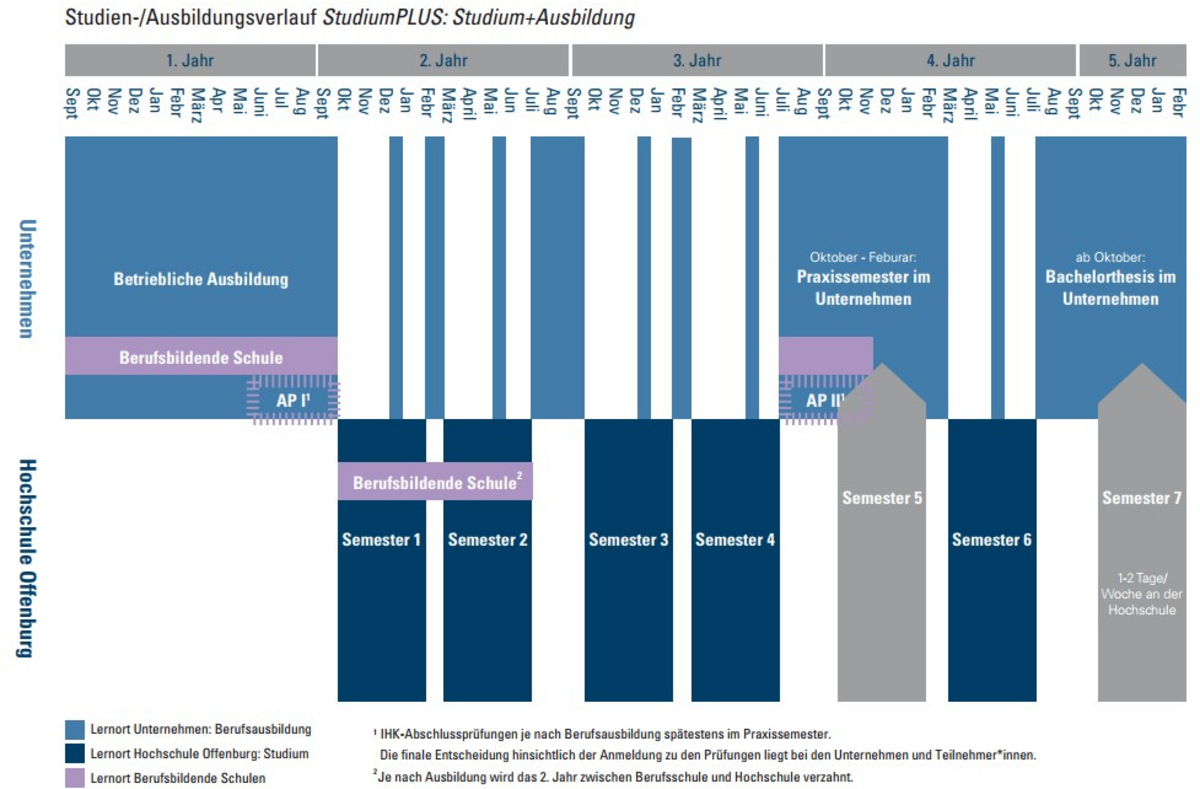 Ablauf StudiumPLUS: Studium+Ausbildung 220323